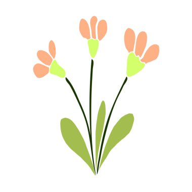 Beyaz arka planda bir çiçek çizimi. Tasarım kartı, yazdırma, paketleme için izole edilmiş vektör ögesi. 