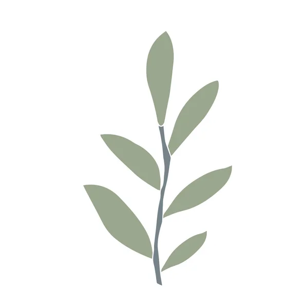 白地に月桂樹の枝を手描き デザインカード 包装のためのベクトル分離要素 — ストックベクタ