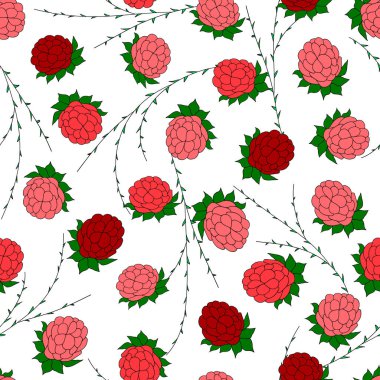 Beyaz arka planda ahududu. Vektör kusursuz desen. Kumaş, baskı, ambalaj, kart tasarımı.