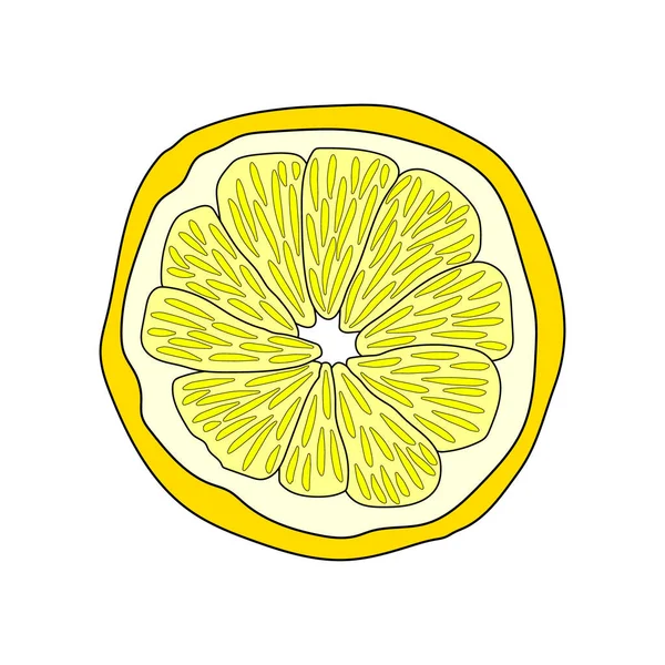 Limon Dilimi Karalaması Tasarım Için Vektör Izole Öge Lezzetli Meyveler — Stok Vektör