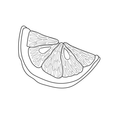 Limon dilimi çizimi. Karalama çizimi. Tasarım için vektör izole öge. Sağlıklı yemek..