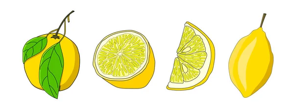 一套柑橘类水果 整个柠檬 半个柠檬 一片柠檬 矢量手绘元素用于设计 涂鸦风格 — 图库矢量图片