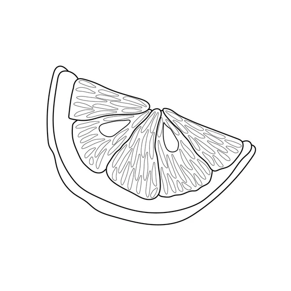 Croquis Une Tranche Citron Illustration Caniche Élément Vectoriel Isolé Pour — Image vectorielle