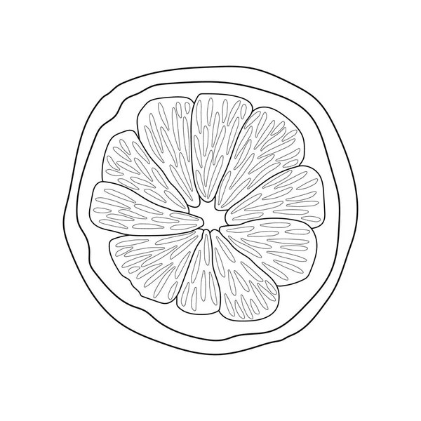 Schizzo Una Fetta Limone Illustrazione Disegnata Mano Elemento Isolato Vettoriale — Vettoriale Stock