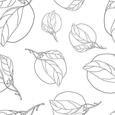 Beyaz arka planda yaprakları olan limonları özetliyor. Vektör kusursuz desen. Kumaş, baskı ve ambalaj için tasarım.