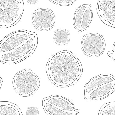 Beyaz arka planda turunçgiller kesiliyor. Vektör kusursuz desen. El çizimi illüstrasyon.