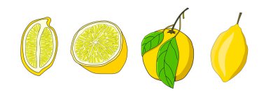 Limon seti. Yarım meyve, bir dilim meyve, tam limon. Tasarım için izole edilmiş elementler. Doodle tarzı. 
