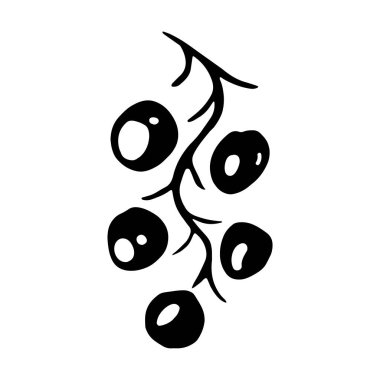 Böğürtlenli tek renkli dal. Tasarım için vektör izole öge.