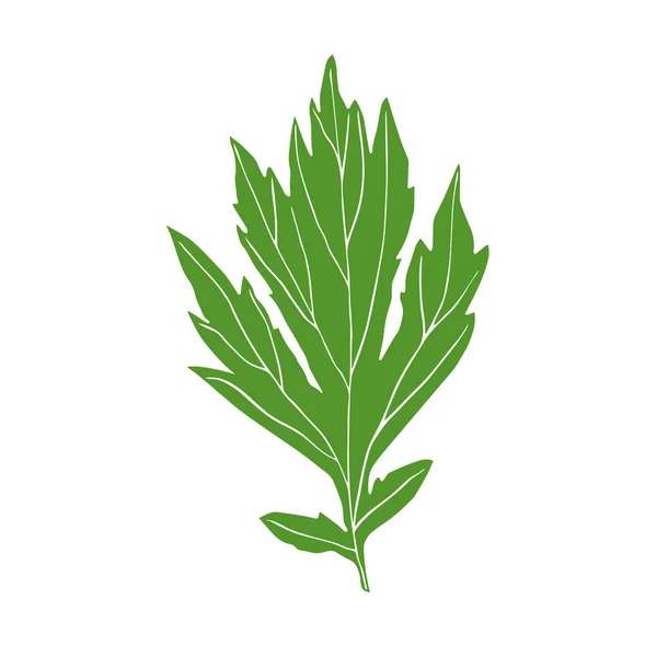 Эскиз Листа Растения Векторный Изолированный Элемент Проектирования — стоковый вектор