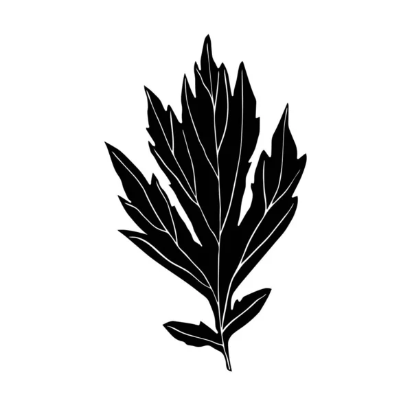 Эскиз Листа Растения Белыми Венами Векторный Изолированный Элемент Дизайна Монохромная — стоковый вектор