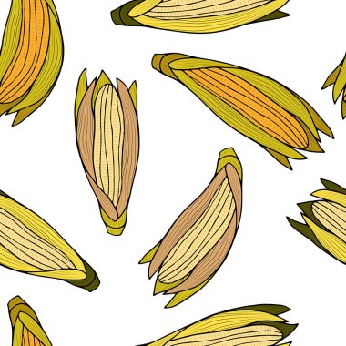 Beyaz arka planda olgun mısırların kulakları. Vektör kusursuz desen. Sonbahar sebze hasadı.