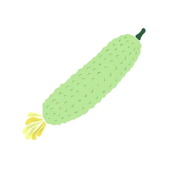 黄瓜的素描 蔬菜的涂鸦 用于设计的矢量隔离轮廓要素 — 图库矢量图片