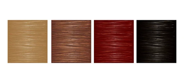 Palette Cheveux Échantillons Différentes Couleurs — Image vectorielle