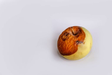 İzole edilmiş arka planda çürük elma. Boşluğu kopyala