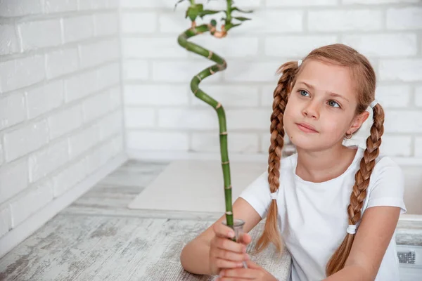 Милая Девушка Играет Растением Маленькая Девочка Касается Комнатного Растения — стоковое фото