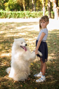 Kız parkta Samoyed 'in büyük köpeğiyle