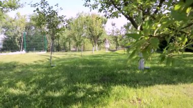 Doğaya yakın bir çocukluk. Ağaçlar var. Mesaj için yer var. Elbiseli küçük güzel kız bahçede koşuyor, park ediyor.