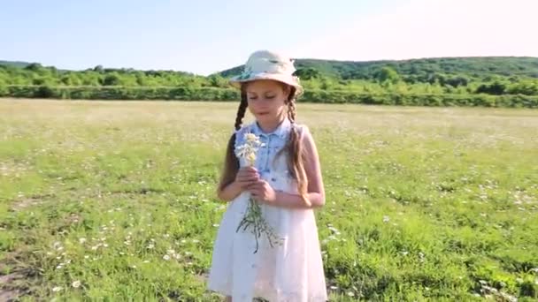 Fille Recueille Des Fleurs Sur Une Prairie Petite Belle Fille — Video