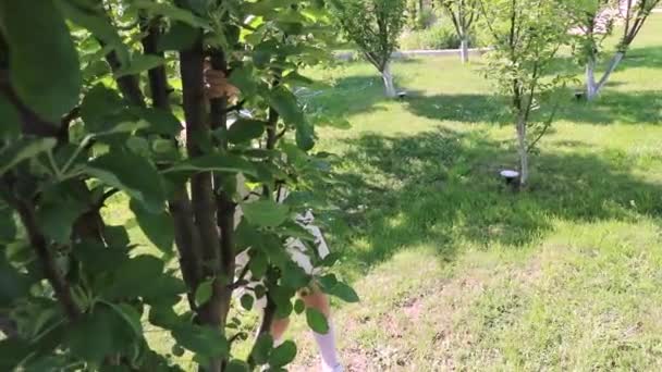 Niño Bosque Niño Jugando Naturaleza Niña Aventura Aire Libre Detrás — Vídeos de Stock