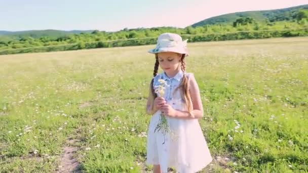 Mała Piękna Dziewczyna Sukience Zbiera Bukiet Stokrotek Dziecko Dzikie Kwiaty — Wideo stockowe