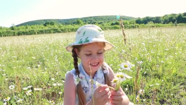 Uma Menina Bonita Vestido Recolhe Buquê Margaridas Criança Flores Silvestres — Vídeo de Stock