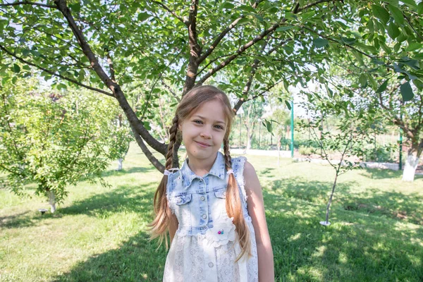 Vacker Flicka Sommarträdgård Barnsemester Söt Liten Flicka Grön Trädgård Barnets — Stockfoto