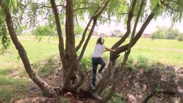 Schaut Das Kind Und Versteckt Sich Hinter Einem Baum Mädchen — Stockvideo