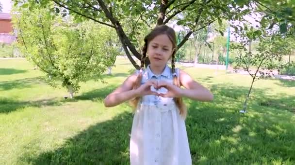 Uma Menina Com Tranças Mostra Coração Com Mãos Conceito Amor — Vídeo de Stock