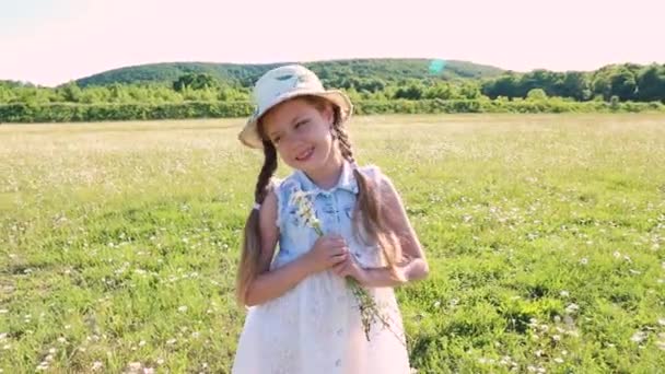 Słoneczne Lato Mała Piękna Dziewczyna Sukience Bukietem Stokrotek Dziecko Dzikie — Wideo stockowe