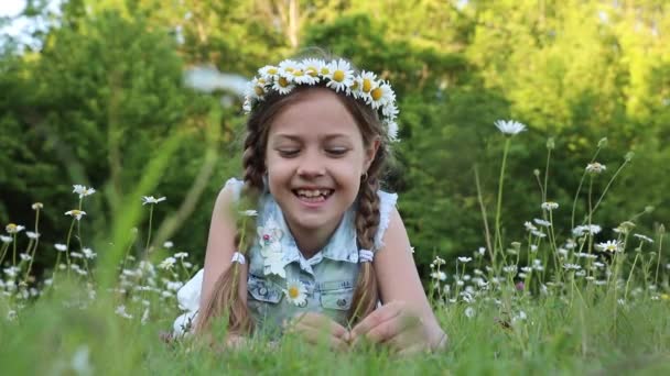 Portret Uroczej Dziewczynki Rumiankiem Głowie Dzikie Kwiaty Dzieciństwo — Wideo stockowe