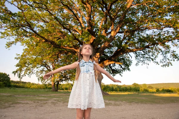 Ett Barn Och Ett Stort Träd Skogen Gammal Och Liten — Stockfoto