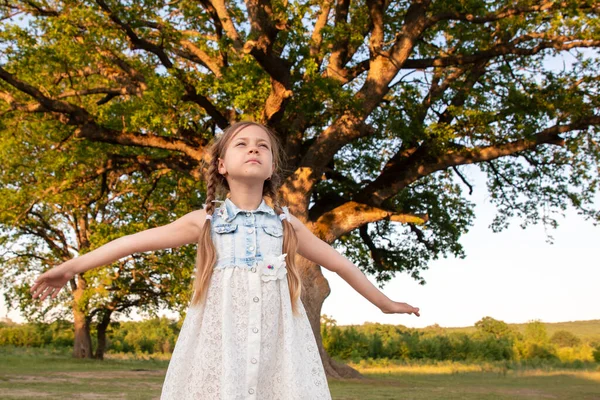 Ett Barn Och Ett Stort Träd Skogen Gammal Och Liten — Stockfoto