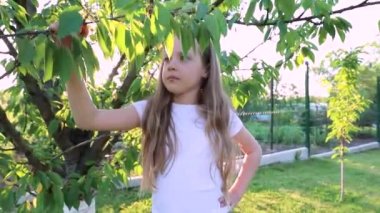 Gün batımında yeşil bir bahçede küçük şirin bir kızın portresi. çocuk yeşil dala dokunur