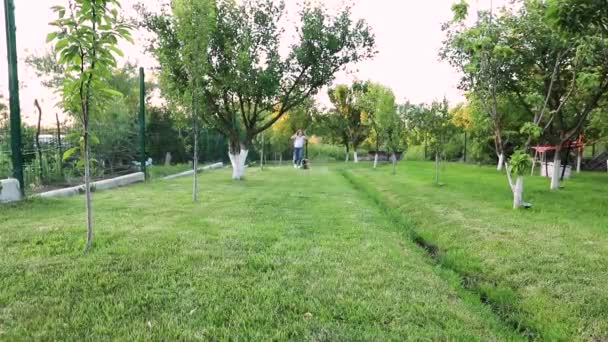 Una piccola dolce ragazza corre lungo l'erba verde con la sua amica il cane. — Video Stock