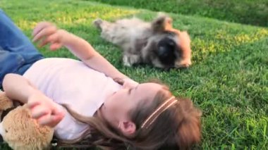 Küçük tatlı kız yeşil çimlerde yatıyor, çimlerde. Gün batımı. Yaz. Mutlu bir çocuk küçük köpeğiyle oynar. Çocuk ve hayvan arasındaki arkadaşlık