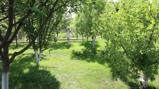 자연과 가까운 나무들이 주변에 있어요 문자를 드레스를 아름다운 소녀가 정원과 — 비디오
