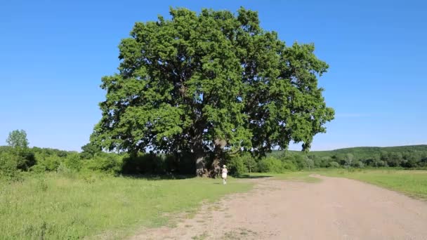 Freut Sich Das Kind Sommer Urlaub Glückliche Kindheit Mädchen Park — Stockvideo