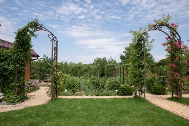 Yaz arkaplanı. yeşil güzel bahçe.