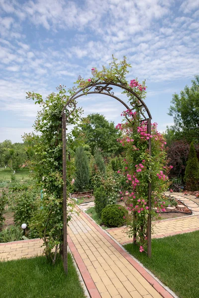 花园里的绿色玫瑰拱形 — 图库照片