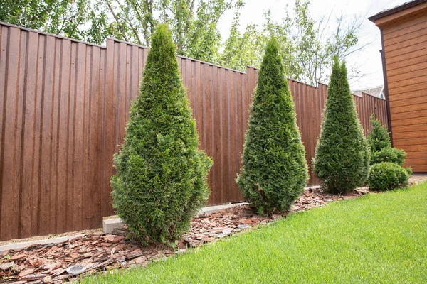 Bahçe tasarımı Peyzaj tasarımı. Ön bahçe. Evdeki güzel bahçe