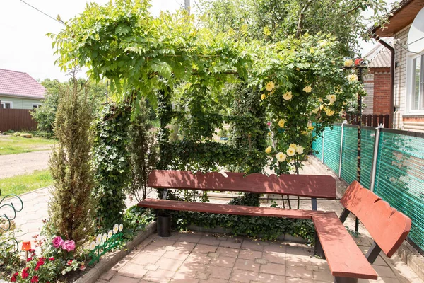 Beautiful Garden Bench Green Garden — Stock Photo, Image