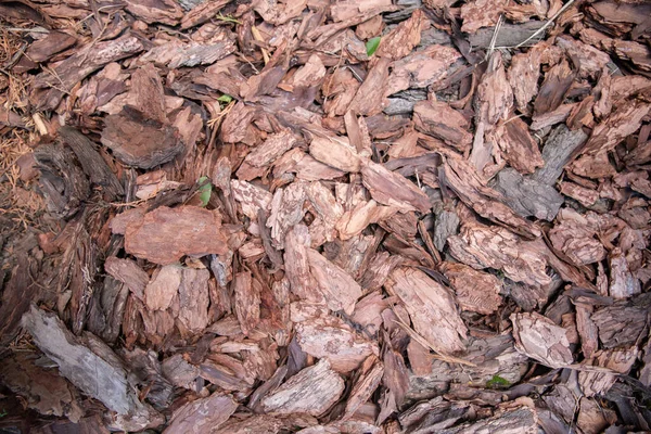 bark mulch. decorative bark. brown chips bark particles for ornamental garden