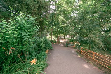 Çok katlı bir evin yeşil avlusunda. Evdeki bitkiler. Şehirde yeşil bitkiler