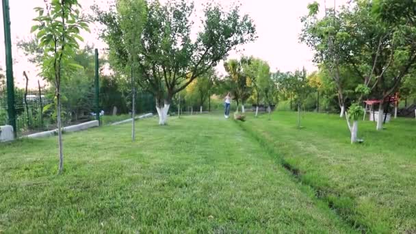 한 귀여운 소녀가 개와 함께 푸른 풀밭을 따라 달린다. — 비디오