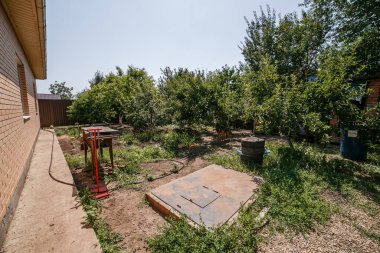 Yaz bahçesi. Evin yakınındaki ağaçlar. Evin arkasındaki yeşil bahçe.