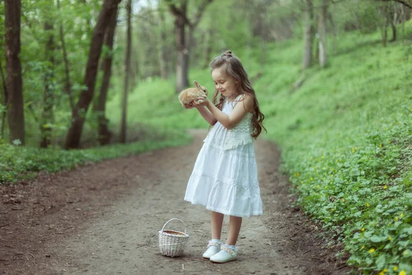 Retrato Uma Menina Uma Floresta Fadas Ela Está Segurando Pequeno — Fotografia de Stock