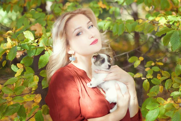 Sonbahar Park Köpek Yavrusu Ile Güzel Bir Sarışın Kadın Portresi — Stok fotoğraf