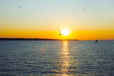 Renkli deniz plajı gün batımı. Gün batımında deniz doğa manzara.
