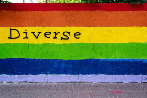 Lgbtの旗の色とそれに書かれた単語の多様性と壁の正面ビューを持つ水平色の画像 — ストック写真