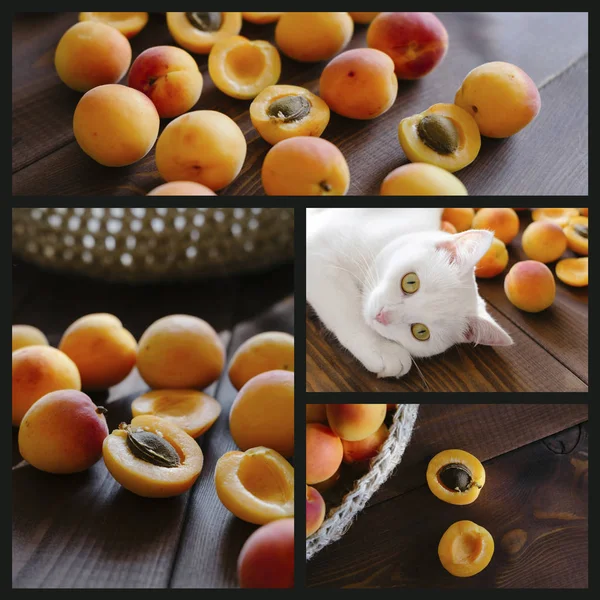 Collage d'abricots frais. Abricots doux . — Photo